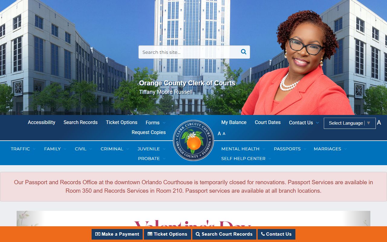Orange County Clerk website for background check records